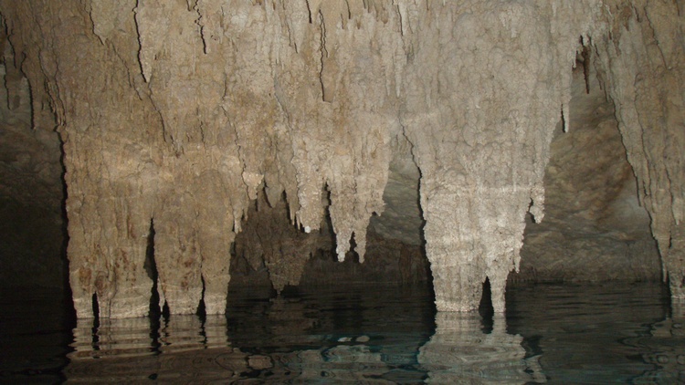 FIRST CENOTE (QUITA ROO MEXICO)