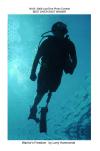SUDS diver - reefdiver