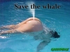 Save the Whales