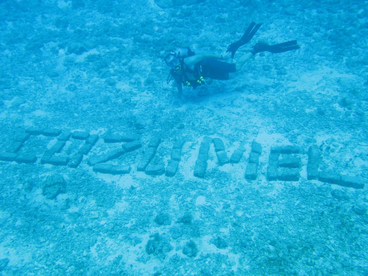 Cozumel Bricks