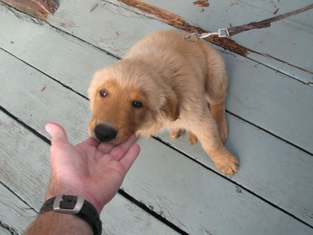 "Taz" taste-testin` my hand @ Papa Hog`s Dive Center - What a Face!