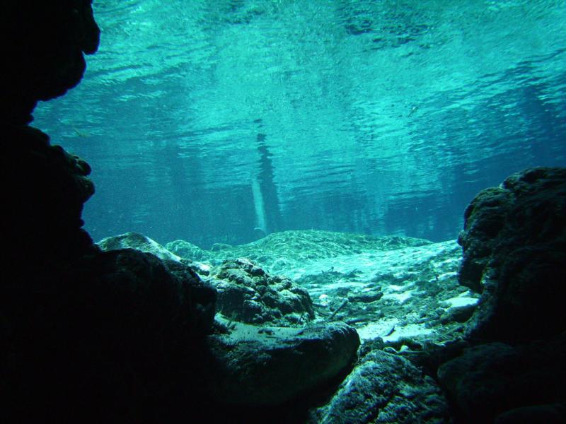 ginnie springs