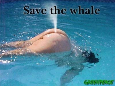 Save the whale