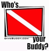 Whose your buddy?