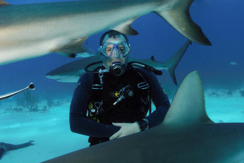 Bahamas Jul 08 - Close encounter