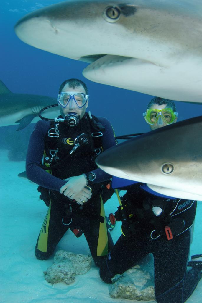 Bahamas Jul 08 - Close encounter 2