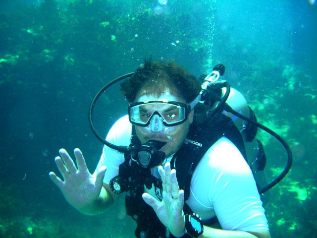 Looking for Lobsters