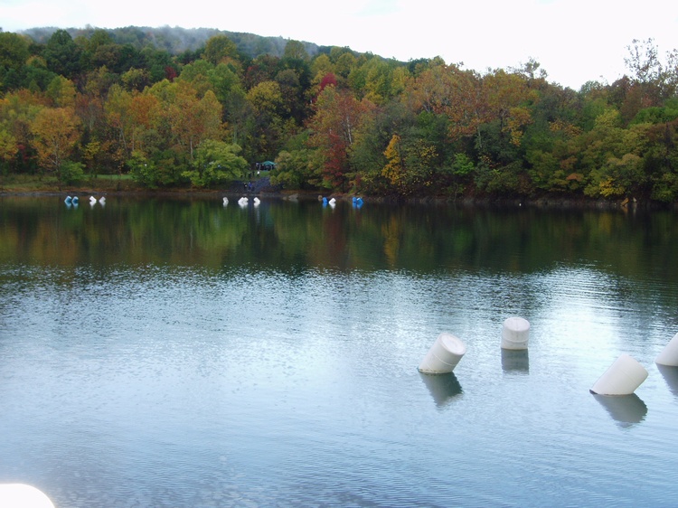 Millbrook Quarry, Haymarket, VA in the fall