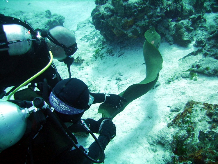 Divemaster and I wrangling a Moray Eel in Cozumel in Dec 2006.
