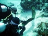 Divemaster and I wrangling a Moray Eel in Cozumel in Dec 2006.