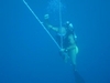 Millar Maru Wreck sub-surface buoy