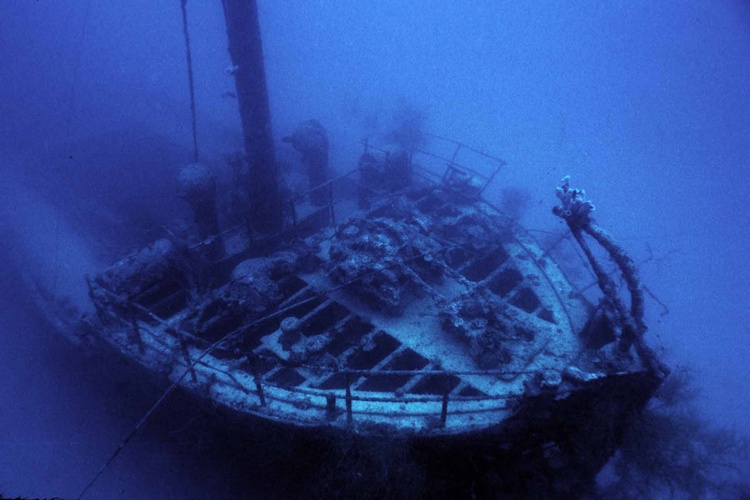 Palawan (Bigej) Wreck Bow