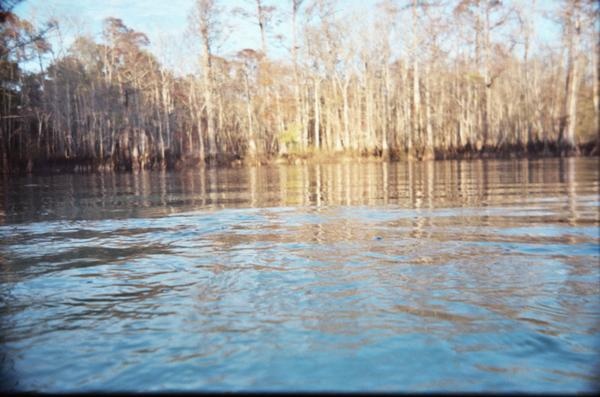 Morrison Springs - December 8,2007