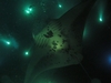 Manta Rays night dive  ( Yap )