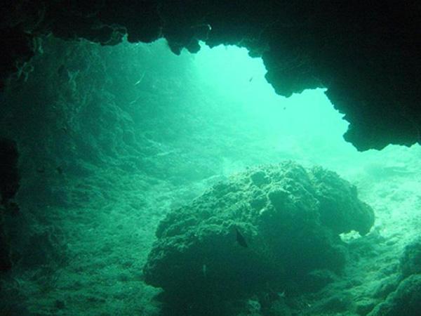 small monk seal cave