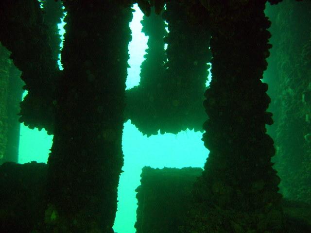 Turkish wreck