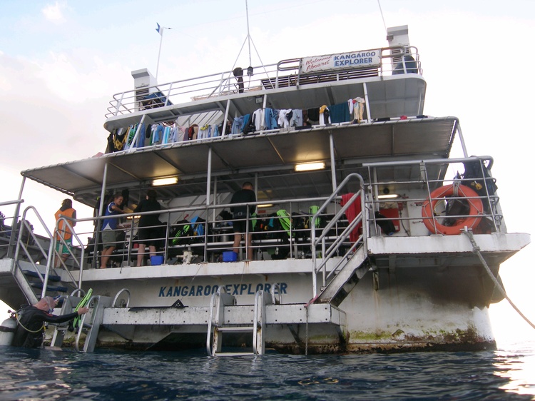 Australian cattle boat...moo!!!