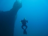 Hangin out at the Bow (Mahi Wreck)