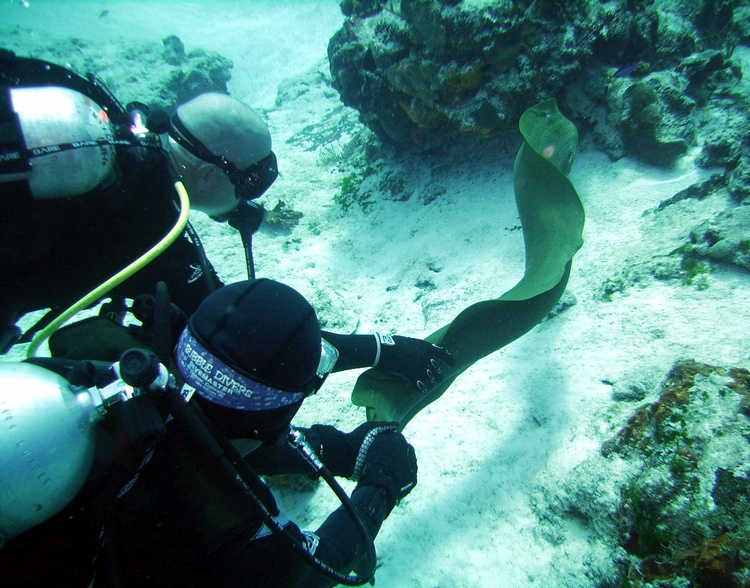 My best friend and a greeen moray