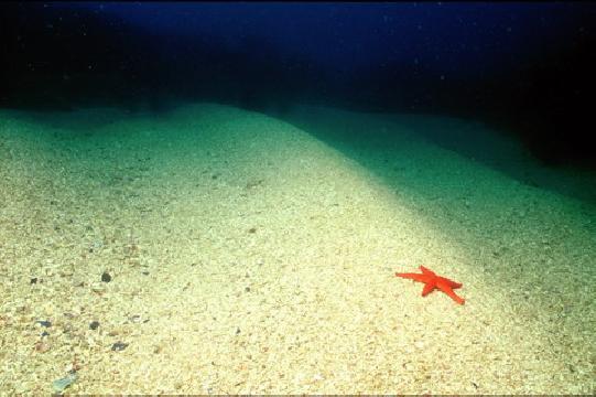 Adriatic1