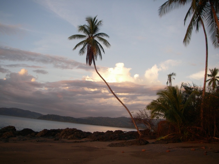 Cost Rican beach