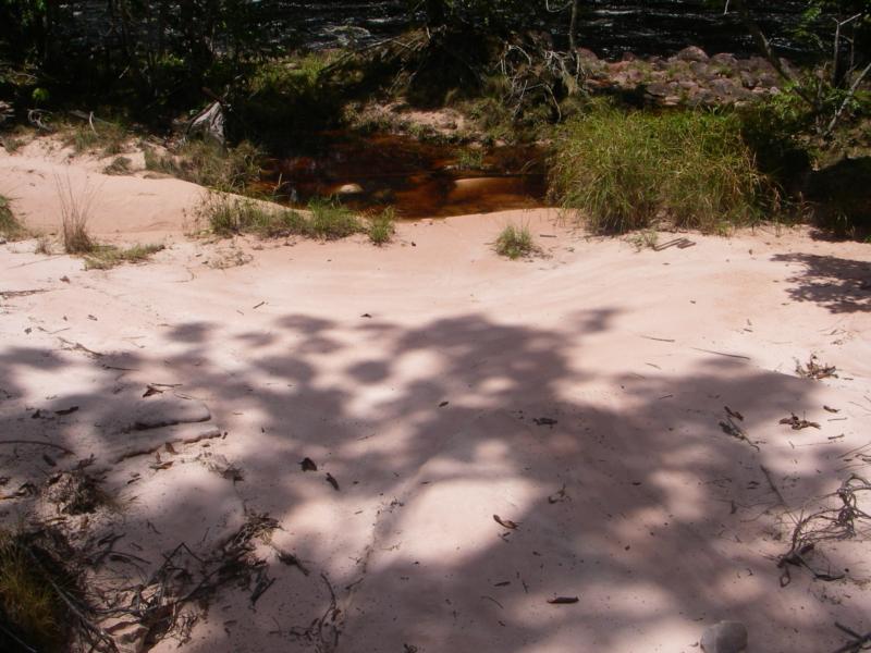 Pink sand beach,Canaima National Park,Vz