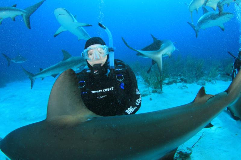 Shark dive w/ Stuart Cove