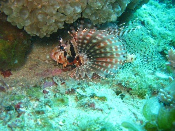 Pulau Redang malaysia