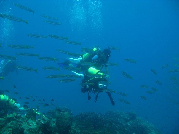 Pulau Redang malaysia