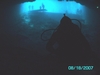 Cool backlight photo. Blue Grotto. Williston FL.