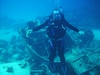 Into the Blue DC-3. Nassau, Bahamas. My second dive after certification.