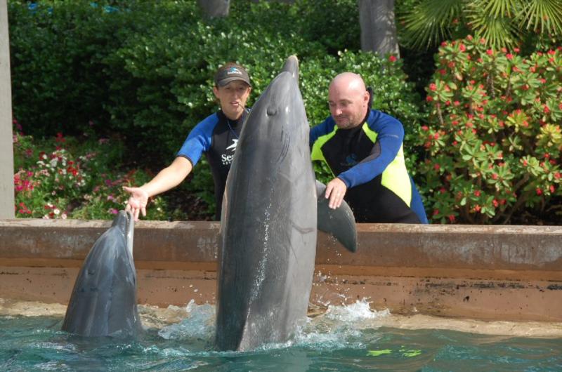 Shaking hands with a dolphin at SeaWorld Orlando