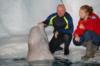 Beluga whale interaction. SeaWorld, Orlando