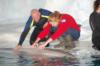 Beluga whale interaction. SeaWorld, Orlando