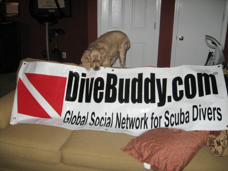 My DiveBuddy.com banner to take on my dive trips. My 30lb cocker on the back of the couch.