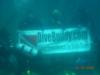 DiveBuddy underwater at ABWA.