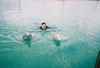 Swimming w/Dolphin in Bahama