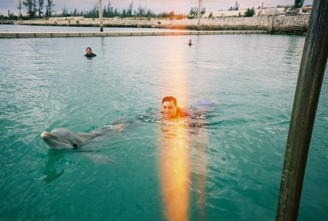 Dolphin in Bahama