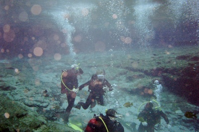 Ginnie Springs, Fla 100`+ vis.