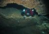 Diver entering Weeki Wachee cave