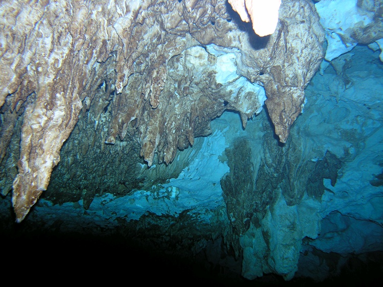 Cenote Diving