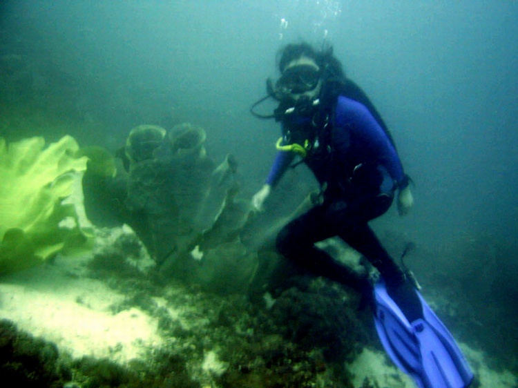 DIve at Shangrila Mactan, Cebu