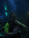 epcot divequest