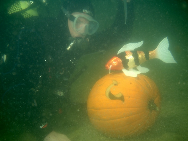 pumpkin dive `06