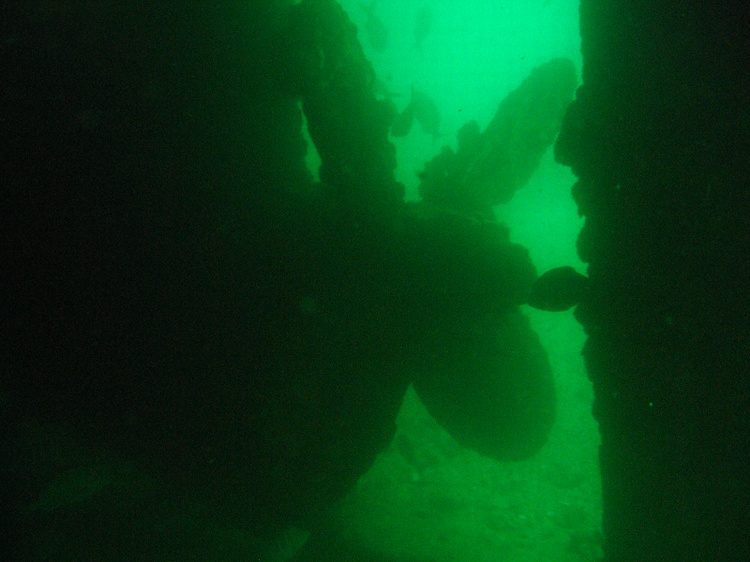 Fang Ming Wreck, Isla Espirito Santo, Sea of Cortez,La Paz, BC