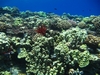 Inside Molokini Crater, Maui