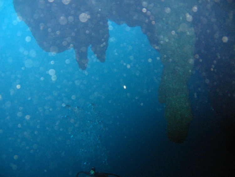 Going under the overhang at 140 feet, Blue Hole, Lighthouse Atoll, BZ