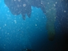 Going under the overhang at 140 feet, Blue Hole, Lighthouse Atoll, BZ