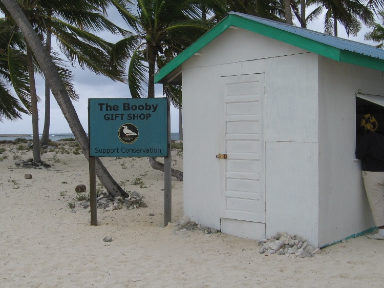 Girls, don`t waste your money on Dr. 90210. Half Moon Caye, BZ