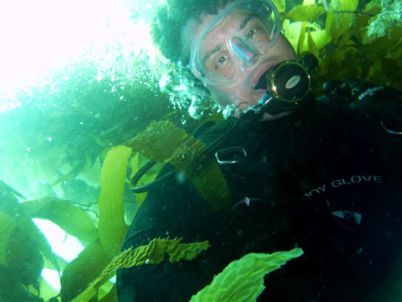 Love kelp diving!